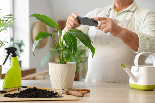 Mature gardener taking picture of plant at home