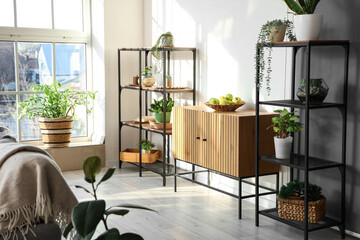 Interior of modern room with wooden chest drawer and houseplants