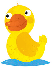 cartoon scene with duck bird farm animal theme isolated background illustration for children