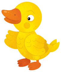 cartoon scene with duck bird farm animal theme isolated background illustration for children