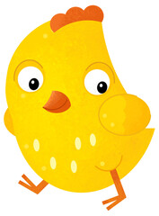 cartoon scene with happy little chicken bird poultry isolated background illustration for children