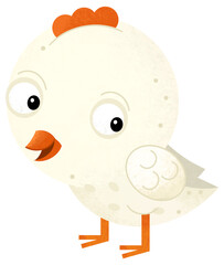 cartoon scene with happy little chicken bird poultry isolated background illustration for children