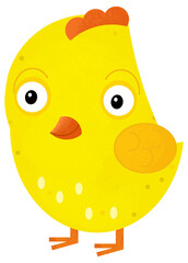 cartoon scene with happy little chicken bird poultry isolated background illustration for children
