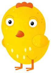 cartoon scene with happy little chicken bird poultry isolated background illustration for children
