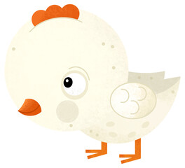 cartoon scene with happy little chicken bird poultry isolated background illustration for children