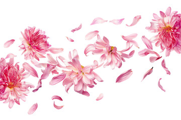 a bouquet of pink blossoms with delicate petals flew