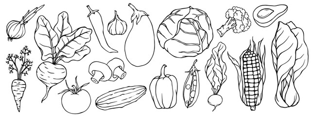 Fototapeta premium A set of sketches, doodles of various vegetables. Vector graphics.