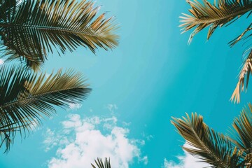 Blue Sky With Palm Trees