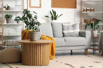 Interior of modern living room with grey sofa and houseplant on coffee table
