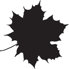 Wind fall leaves to add to your designs. on transparent, png. oak leaf. autumn, weather, nature, oak and maple