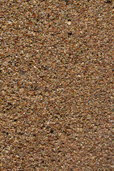The coastline of the Red Sea. Sand, pebbles, corals, fossils. Background with a marine theme.