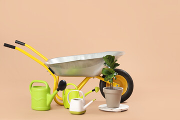 Watering cans, plant and wheelbarrow on beige background