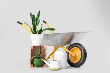 Plants, gardening tools and wheelbarrow on white background