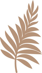 Beige, green, white tropical leaves in flat style, on transparent, png. Illustration. Green jungle,foliage. Floral beach