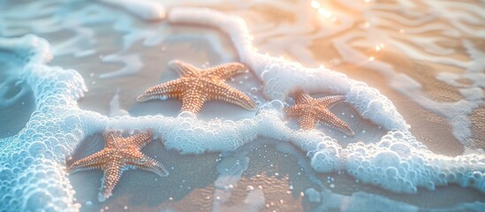 Two Starfish on Sandy Beach