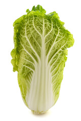 Fresh chinese cabbage - 792152124