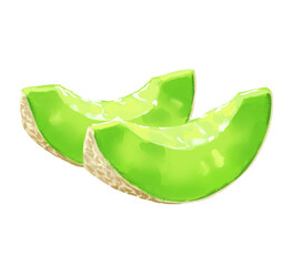 カットされた新鮮なメロンのイラスト