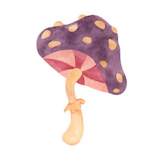 Hippie psychedelic magic mushroom in 70s style. Vintage groovy fly agaric nostalgic clipart. Watercolor fairytale fungus funky illustration for printing, trippy sticker, flyers, indie t-shirts, labels