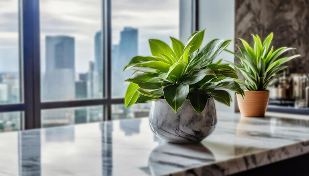 Two lush potted plants on a reflective marble countertop, framed by large windows revealing an urban skyline