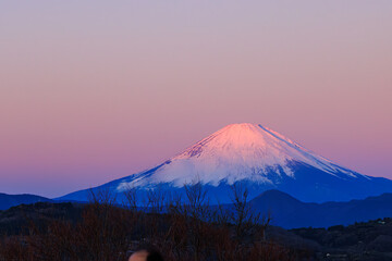 初日の出の朝焼けに赤く染まる美しい富士山（赤富士）。

日本国神奈川県中郡二宮町、吾妻山公園にて。
2022年1月1日撮影。

Beautiful Mt. Fuji that turns red in the morning glow of the new year's first sunrise (Akafuji).

At Azumayama Park, Ninomiya-cho, Naka-