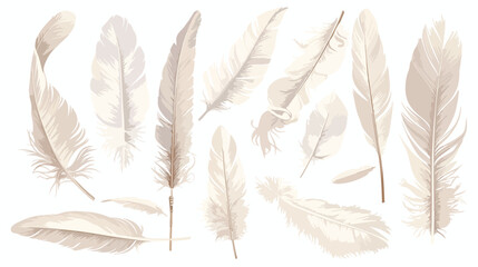 Realistic white feathers collection. Set of fluffy