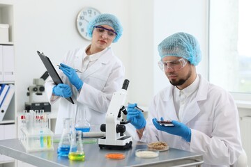 Quality control. Food inspectors checking safety of products in laboratory