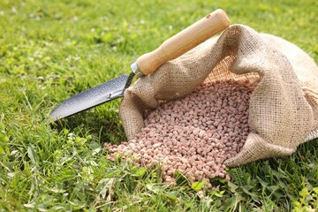 Granulated fertilizer in sack and shovel on green grass outdoors, closeup