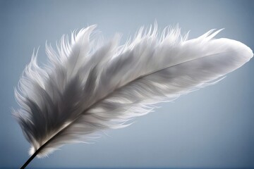 'white isolated feather bird macro beauty abstract accessory angel animal background colours concept down elegance fluffy fragility freedom goose gravity health image levitation lightweight moving'
