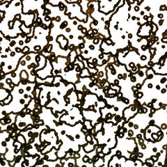 Abstract grunge texture background image.