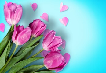 Obraz premium Woman's Day concept with fresh flowers