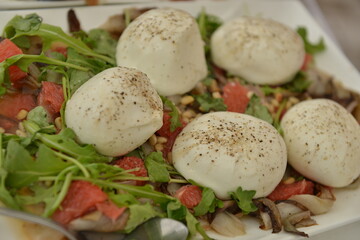 Burrata salad food with Tomatoes, Rucola
