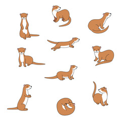 Cute weasel cartoon vector illustration