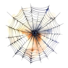 Fototapeta premium Watercolor spider web isolated on white background. Watercolor illustration.