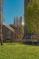 Urban park with fresh green grass and leafy trees, with modern skyscrapers in the background and a sunlight.. - 792201533