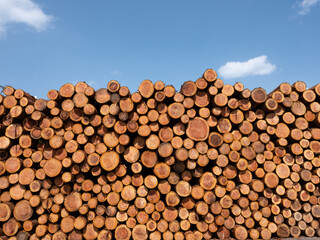 青空の下、大量に積まれた木材