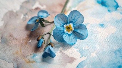 A close-up of a single forget-me-not - obrazy, fototapety, plakaty