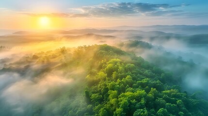 Beautiful sunrise over the lush mountains, aerial view of the forest trees, concept of a healthy rainforest ecosystem and environment background, texture of the green forest seen from above.