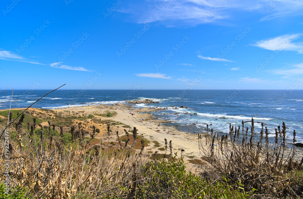 Wall mural Beach of the pacific ocean in Algarrobo in the region of Valparaiso, Chile 