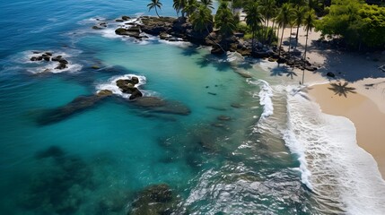 Aerial panoramic view of tropical beach with palm trees and turquoise sea