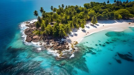 Fototapeta na wymiar Aerial view of beautiful tropical beach with white sand, turquoise water and palm trees at Seychelles