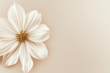 white flower on a light pink background