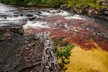 The rainbow river or five colors river is in Colombia one of the most beautiful nature places, is...
