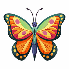 butterfly vector illustration and isolated on white background