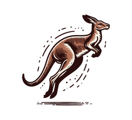 australian kangaroo vector hand drawn sketch