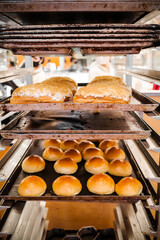 Freshly baked bread on trays at pastry store