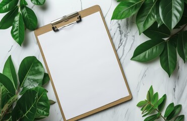 Blank clipboard on marble background with green leaves