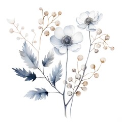 Obraz premium Watercolor illustration of anemone flowers with leaves and berries. Hand drawn botanical illustration.