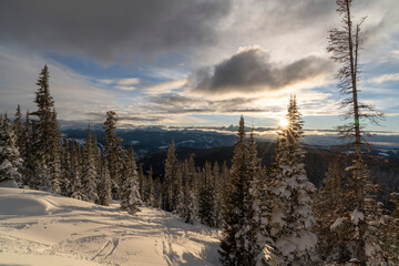 a snowy sunrise in the forest in winter