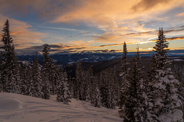 a snowy sunrise in the forest in winter
