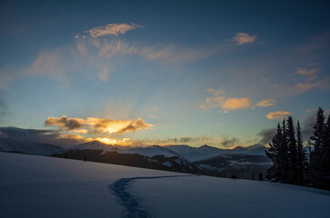 a snowy sunrise in the forest in winter